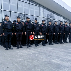 成都市大型活动保安服务重点
