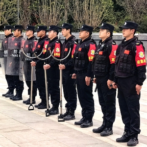 成都高新技术创业中心保安服务
