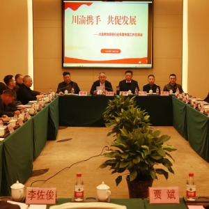 川渝携手  共促发展|川渝两地保安行业年度专题工作交流会议在梁平召开 ... ... ...